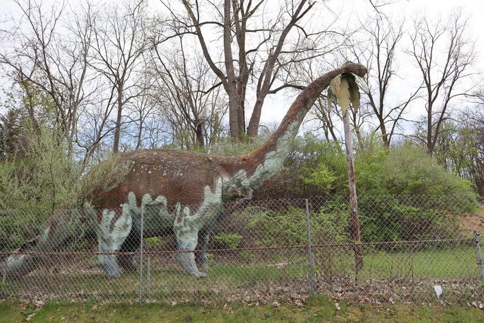 Prehistoric Forest - May 1 2021 (newer photo)